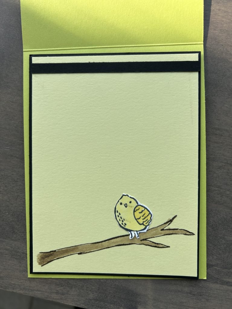 Inside of "Birds Eye View" card.